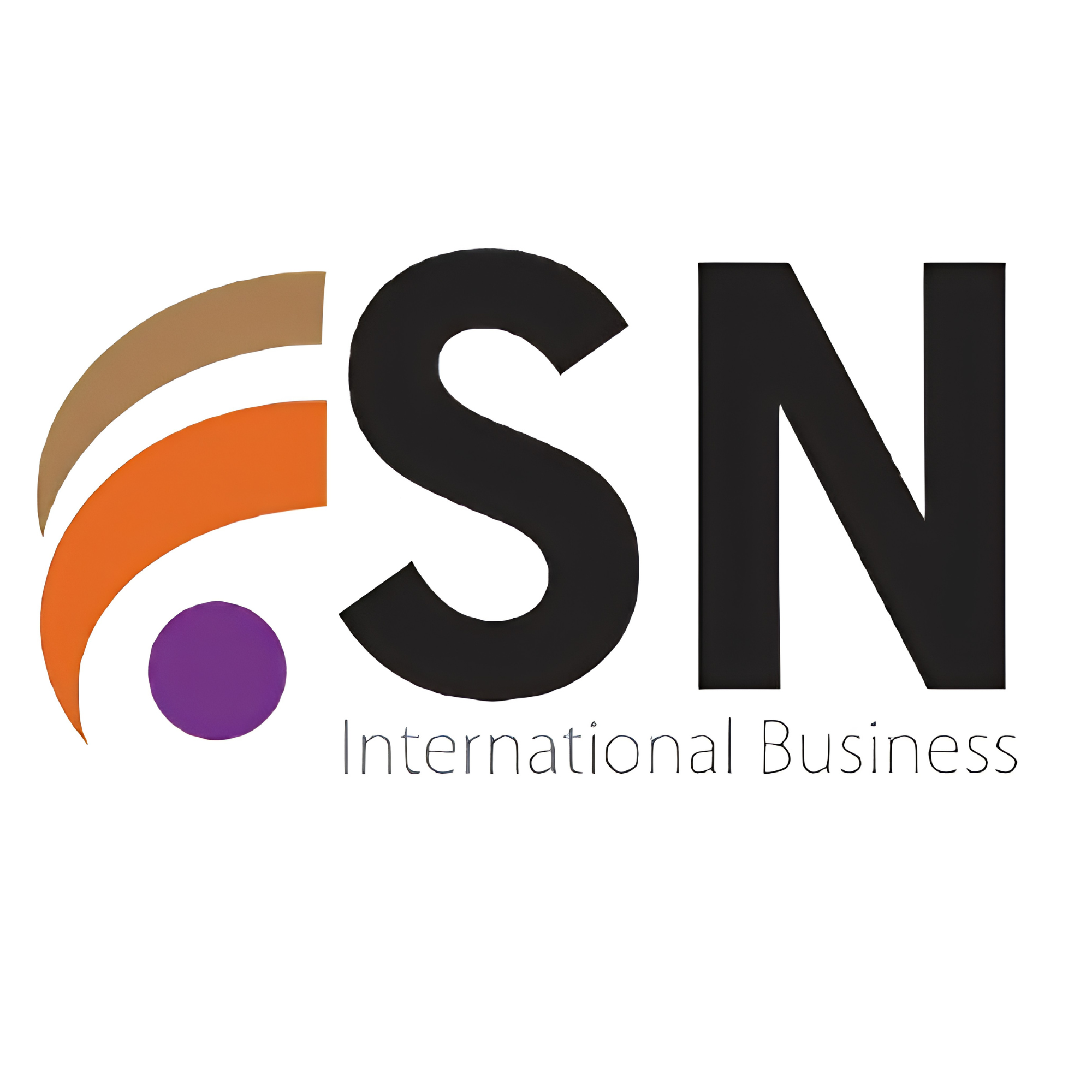 SN INTERNATIONAL BUSINESS